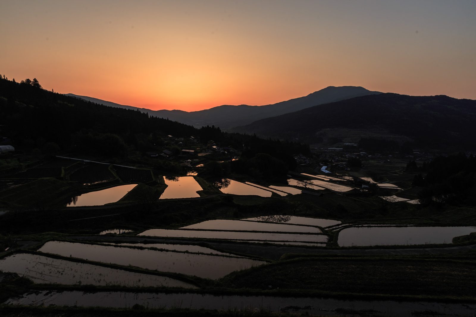 事務所周辺の田園風景